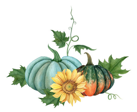 Watercolor pumpkins with leaves and sunflower, Fall illustration isolated on the white backgroundの写真素材