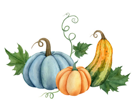 Watercolor pumpkins with leaves, Fall illustration isolated on the white backgroundの写真素材