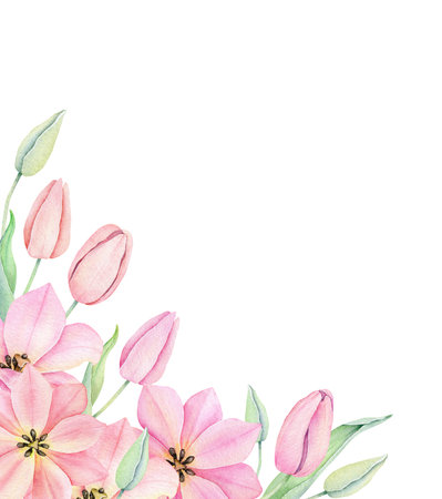 Watercolor pink tulip. Spring flowers isolated on white background. Floral Bouquet, Wreath, Frame. decorative design elements.の写真素材