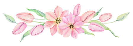 Watercolor pink tulip. Spring flowers isolated on white background. Floral Bouquet, Wreath, Frame. decorative design elements.の写真素材
