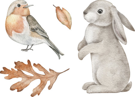 Watercolor woodland design element. Hand-drawing animals, leaves. Bird, rabbit for wall stickers, posters, invitation and greeting cards.の写真素材