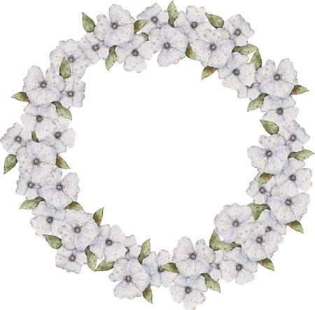 Watercolor floral wreath, Frame with white flowersの写真素材