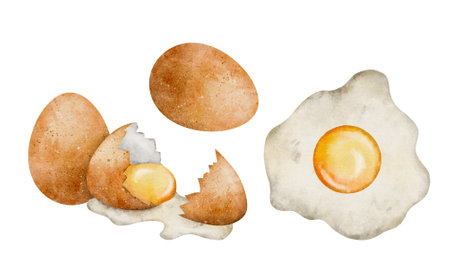 Watercolor golden raw egg. Food illustration isolated on white backgroundの写真素材