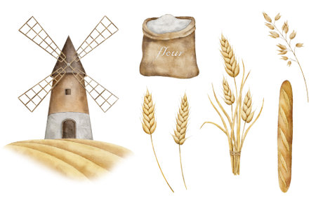 Watercolor set of bread. Mill, flour, baguette, oats, ear of wheat. Bakery illustrationの写真素材