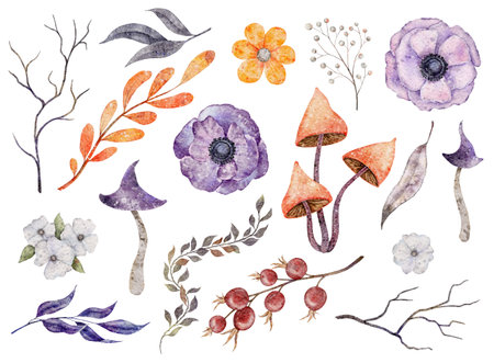 Watercolor floral clipart with branches, anemone, mushroom, leaves, rosehip. Orange and Purple colorの写真素材