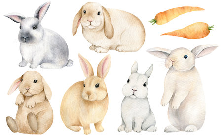Cute Bunny set with carrot. Easter template. Hand drawn watercolor animals illustrationの写真素材