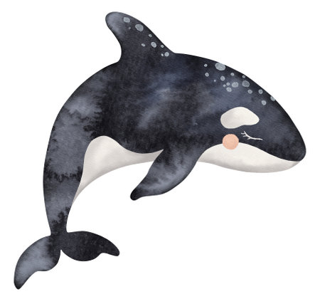 Watercolor ocean animal, underwater illustration, cute baby killer whaleの写真素材