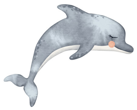 Watercolor ocean animal, underwater illustration, cute baby dolphinの写真素材