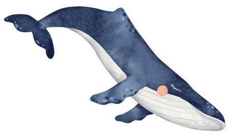 Watercolor ocean animal, underwater illustration, cute baby blue whaleの写真素材