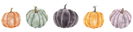 Watercolor colorful pumpkins harvest vegetable illustration isolated on the white backgroundの写真素材