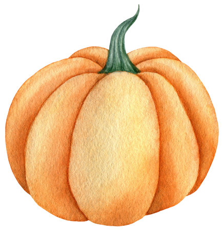 Watercolor orange pumpkins, Harvest vegetable illustration isolated on the white backgroundの写真素材