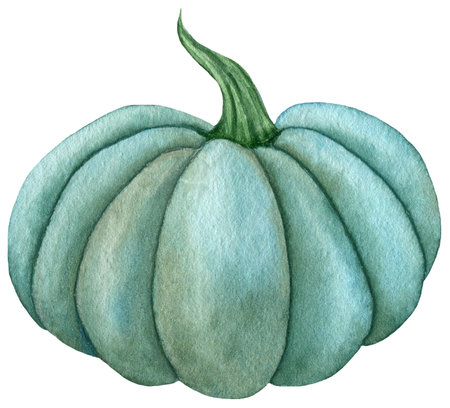 Watercolor blue green pumpkins, Harvest vegetable illustration isolated on the white backgroundの写真素材