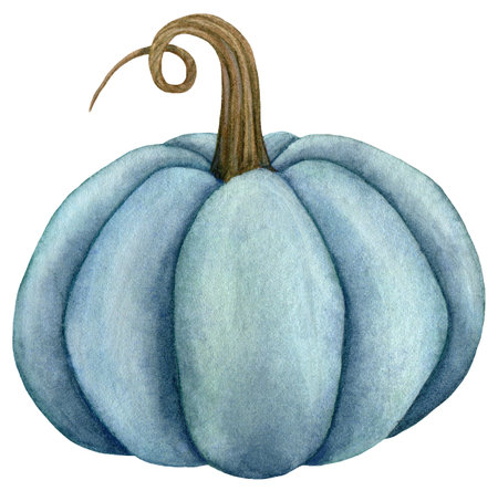 Watercolor blue pumpkin, Harvest vegetable Fall illustrationの写真素材
