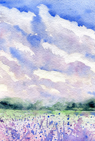 Watercolor field landscape. Abstract purple lavander flowers and blue sky with clouds.の写真素材