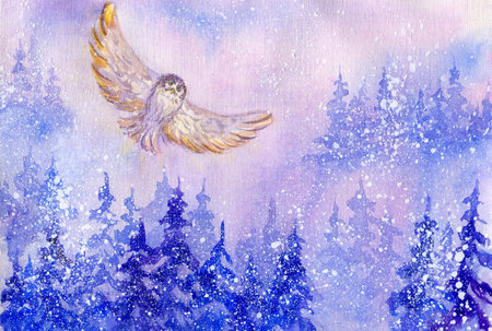 Watercolor forest landscape with a flying owl. Winter illustrationの写真素材