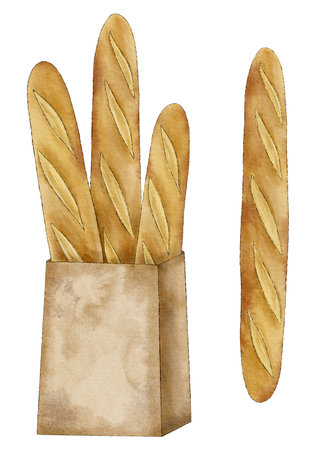 Watercolor French baguette, a bag of baguettes. Hand-drawn bakery products illustrationの写真素材
