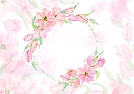 Watercolor pink tulip on white background. Hand drawn botanical illustration. wedding invitation floral templateの写真素材