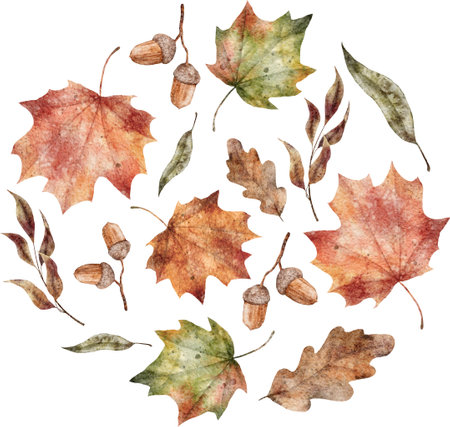 Watercolor Template design round label for fall season. Banner with autumn oak, maple leaves and acorn.の写真素材