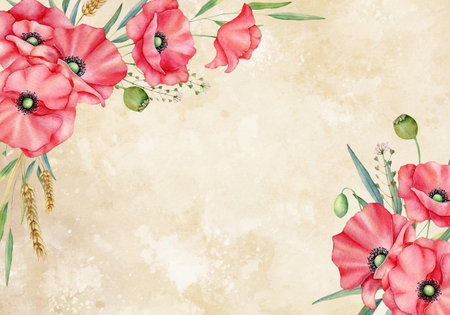 Watercolor red poppy on beige background. Hand drawn botanical illustration.の写真素材