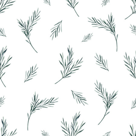 Watercolor rosemary seamless pattern. Winter print on white background. Evergreen spruce, Hand drawn botanical illustration for fabric, wrapping paper.の写真素材