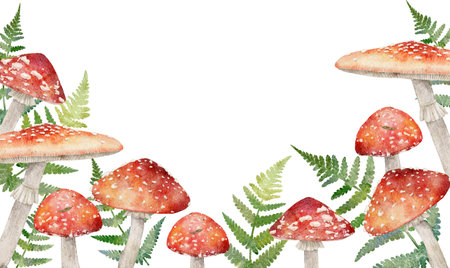 Watercolor fly agaric and fern horizontal frame. Hand drawn forest illustration isolated on background. Mushroom Perfect for card, invitation, tags, printing Watercolor seamless pattern with . Hand drawn mushroom illustrationの写真素材