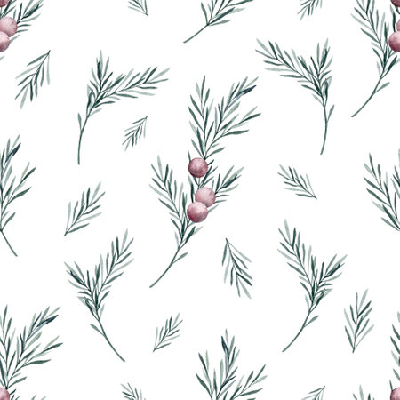 Watercolor rosemary seamless pattern. Winter plant print on white background. Hand drawn botanical illustration for fabric, wrapping paperの写真素材