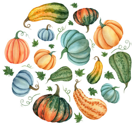 Watercolor label in the form of a vegetable circle with the image of pumpkins for the design of signage, agribusiness logo, banner with organic food, healthy brand labels. Hand-drawn illustration for labels, juice packagingの写真素材