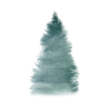 Watercolor abstract fir tree. Hand drawn illustration. Forest template, Winter foggy woodland landscape background. Wild nature in wintertime. Christmas card design. Evergreen tree graphic isolated on transparent backgroundの写真素材
