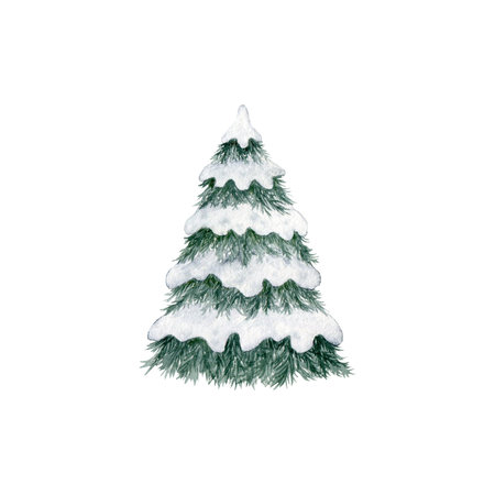 Snow covered Christmas tree. Fir tree. Hand drawn watercolor illustration. Forest template, Winter woodland landscape background. Wild nature in wintertime. Christmas card design. Evergreen tree graphic isolated.の写真素材