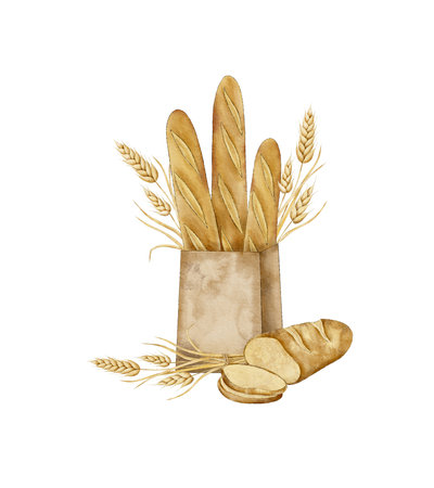 crispy French baguettes in craft bag with bunch of spikelets of wheat, rye, grains and sliced fresh bread. Protein and whole grain nutrition. Hand drawn watercolor illustration for card, souvenir, label, poster, bakery labelの写真素材