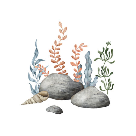 Sea Pebbles with marine shell, bottom pebble, seaweed algae. Hand drawn watercolor illustration. Marine, tropical composition for souvenir, posters, sticker, printing, bannerの写真素材
