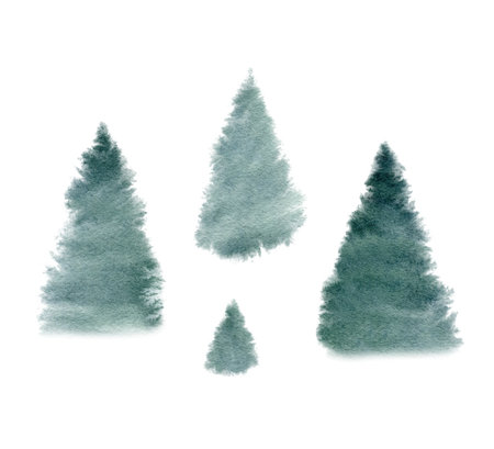 Set of abstract spruce. Forest template, Winter foggy woodland landscape background. Wild nature in wintertime. Hand drawn watercolor illustration. Christmas card design. Evergreen tree graphic isolated on transparent background.の写真素材