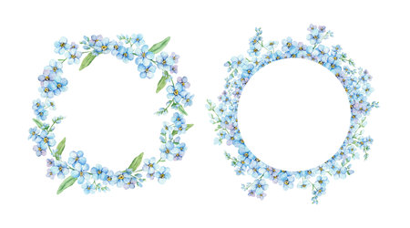 Set of blue forget-me-nots, floral round wreath and frame with place for text. Spring flowers Scorpion Grass, Myosotis. Hand draw watercolor illustration for wedding anniversary, birthday, invitation, Mothers day, Womens day cardの写真素材