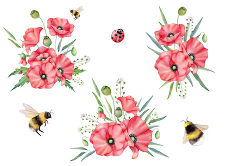 Set of red wild poppies, poppy buds, green leaves, bee and ladybug. Floral bouquets. Hand draw watercolor illustration for wedding, anniversary, birthday, package, greetingsの写真素材
