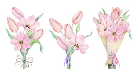 Set of bouquets with pink tulip flowers. Spring florar bouquet with bow. Hand drawn watercolor illustration for easter design, announcements, greeting cards, posters, weddingsの写真素材