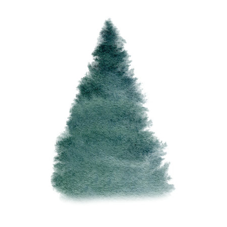 Watercolor abstract spruce tree. Hand drawn illustration. Forest template, Winter foggy woodland landscape background. Wild nature in wintertime. Christmas card design. Evergreen tree graphic isolated on transparent background.の写真素材
