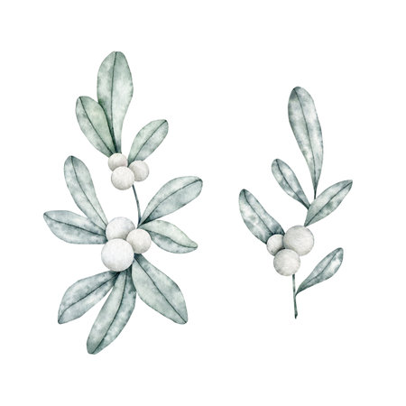 Set of Symphoricarpos, commonly known as the snowberry, waxberry, or ghostberry. Deciduous shrub with white berries. Hand drawn watercolor illustration for greeting card, wedding invitationの写真素材