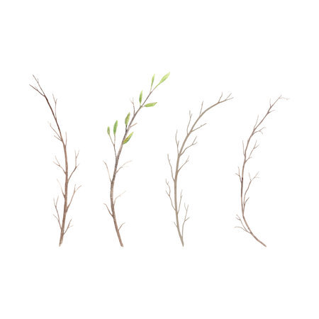 Set of tree branches with green bud leaves. Spring twig burst into leafy. Hand drawn watercolor illustration. Frame for print design, announcements, greeting cards, weddings.の写真素材