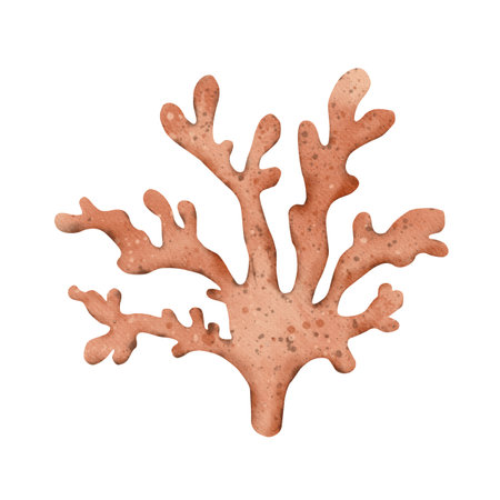 Marine orange coral branch. Coral Reef animal. Underwater polyp. Hand drawn watercolor illustration for print design, card, sticker, packの写真素材
