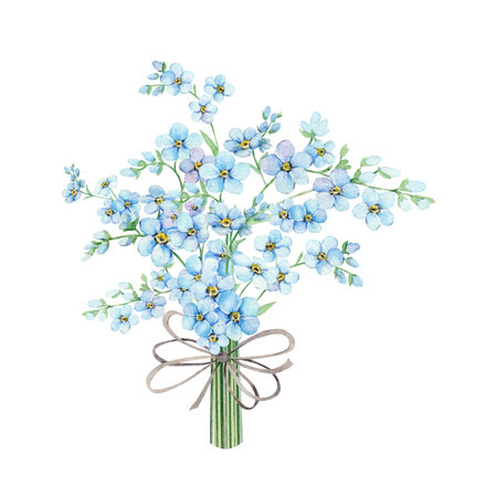 Blue forget-me-nots, floral bouquet with bow. Spring flowers Scorpion Grass, Myosotis. Hand draw watercolor illustration for wedding anniversary, birthdayの写真素材