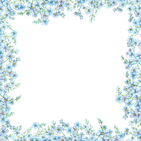 Blue forget-me-nots, floral square frame with place for text. Spring flowers Scorpion Grass, Myosotis. Hand draw watercolor illustration template for wedding anniversary, birthdayの写真素材