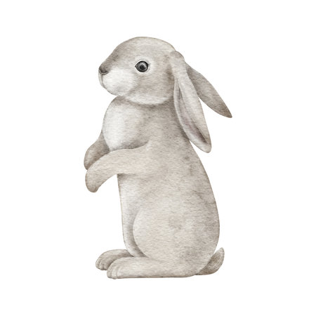 Cute fluffy grey rabbit. Easter bunny. Realistic pet animal with ears. Woodland animal. Hand drawing watercolor illustration for sticker, card, invitation, baby shower, newbornの写真素材