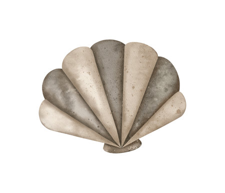 Watercolor Seashell. Pearl oyster. Marine underwater elements design. Drawing of conch, shell and cockleshell. Hand drawn aquarelle illustration for logo, banner, poster, print, textile, template, cardの写真素材