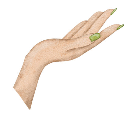 Beautiful elegant female hand with green manicure. Human body fragment. Hand drawn watercolor illustration isolated on background. Design element for card, invitation, poster, brochureの写真素材