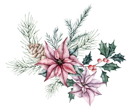 Christmas bouquet of red poinsettia flower, pine cone, ilex,and emerald spruce branch, evergreen tree, fir, cedar. Botanical Winter flowers. Hand painted watercolor illustration for wedding invitation, pack, christmas cardの写真素材