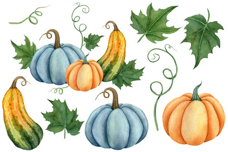 Watercolor set of pumpkins orange, blue and green colors with leaves. Hand drawn illustration vegetable for the design of signage, agribusiness logo, banner with organic food, healthy brand labels.の写真素材