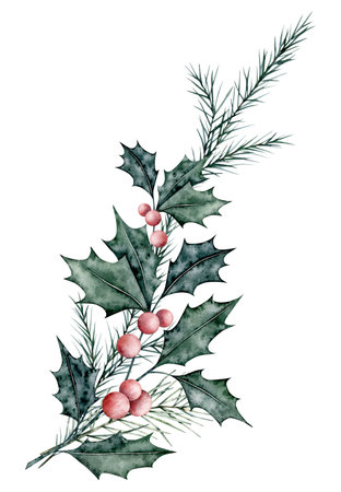 Christmas bouquet of ilex branches with red berries and spruce branch, evergreen tree, fir, cedar. Emerald holly leaves. Botanical Winterberry banner. Hand painted watercolor illustration for wedding invitation, pack, christmas card.の写真素材