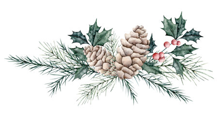 Christmas bouquet of ilex branches with red berries and spruce twig, evergreen tree, pine cone. Emerald holly leaves. Botanical Winterberry banner. Hand painted watercolor illustration for wedding invitation, pack, christmas card.の写真素材