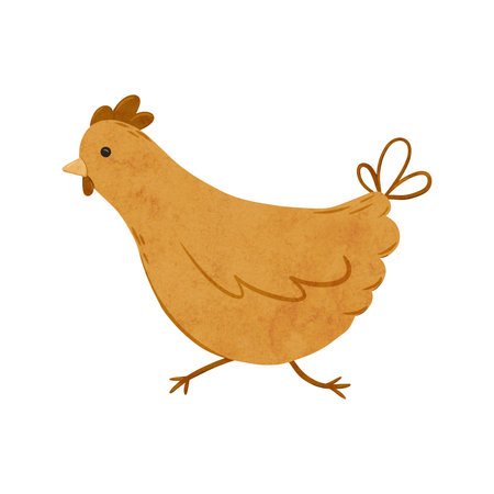 Cartoon domestic chicken runs. Digital hand drawn farm bird illustration for textile design, poster, postcard. Cartoon style character drawing for printing on an isolated backgroundの写真素材