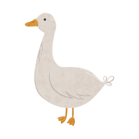 Cute goose. Digital hand drawn illustration with little farm animal bird for textile design, education, baby shower, children prints. Drawing of character in cartoon style on isolated background.の写真素材